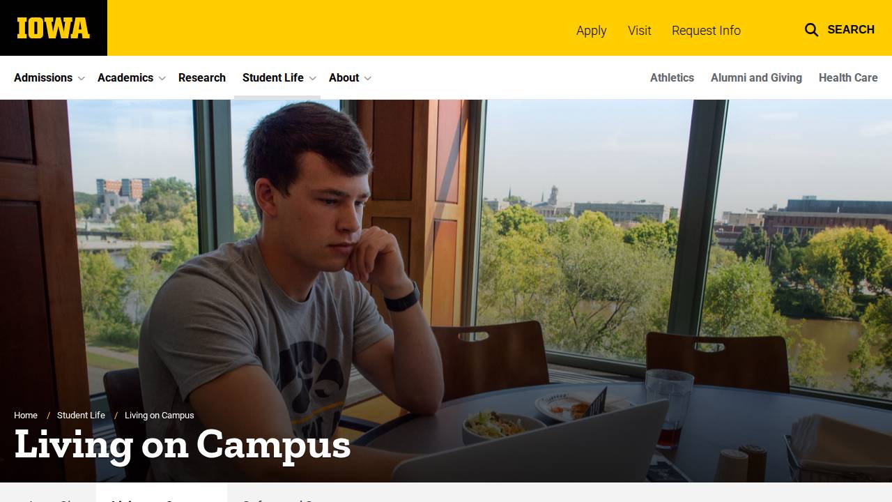 DES MOINES PROGRAMS | The University of Iowa website screenshot