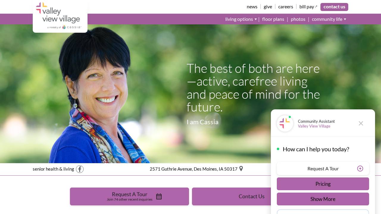 Valley View Village website screenshot