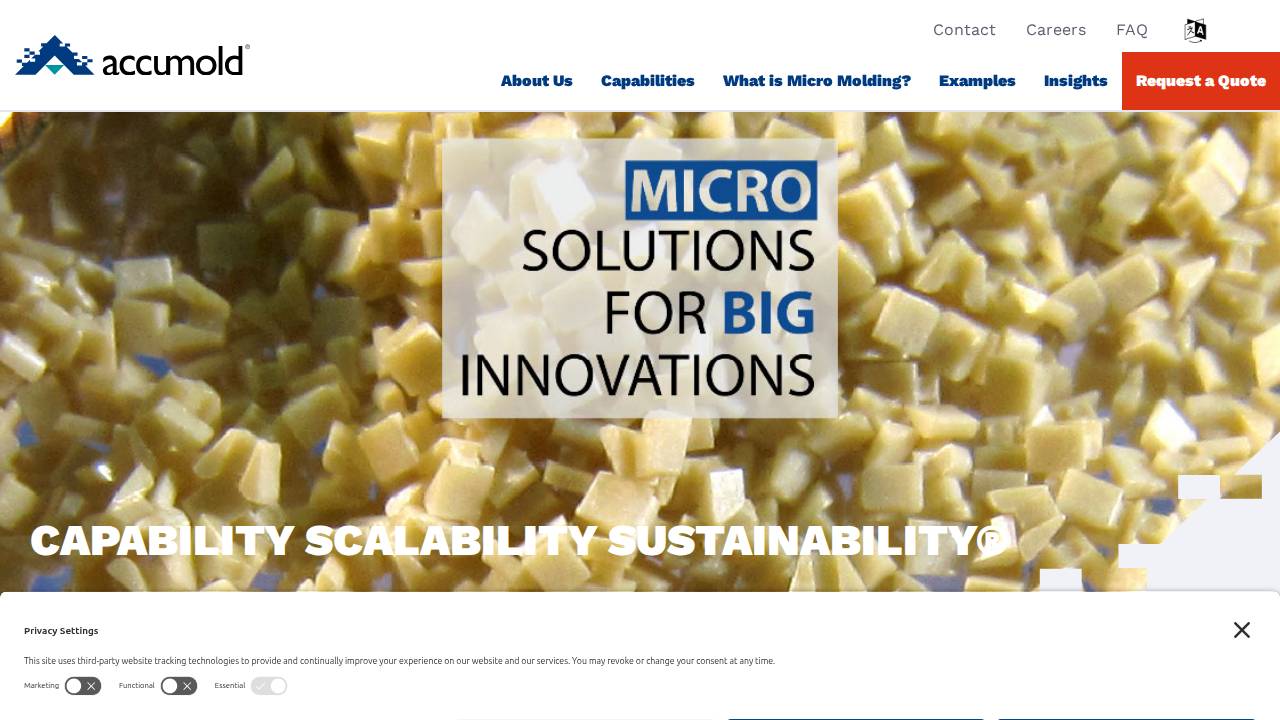 USA Mold Inc. website screenshot