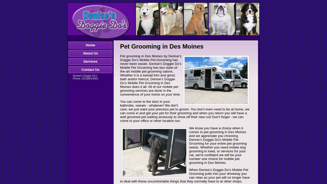 You Sudsy Dog website screenshot