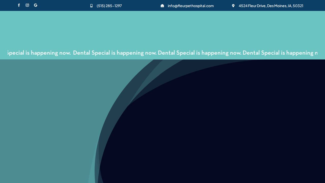 Fleur Pet Hospital website screenshot