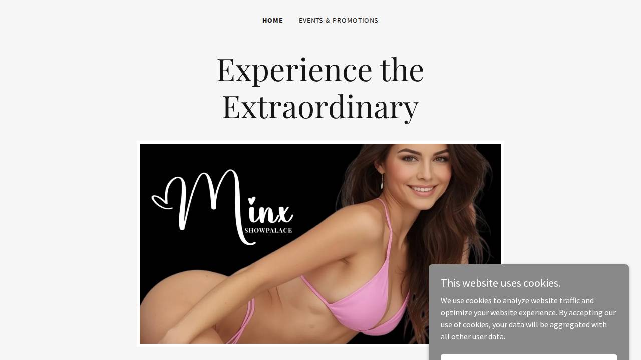 Minx Theatre Performing Arts LLC website screenshot