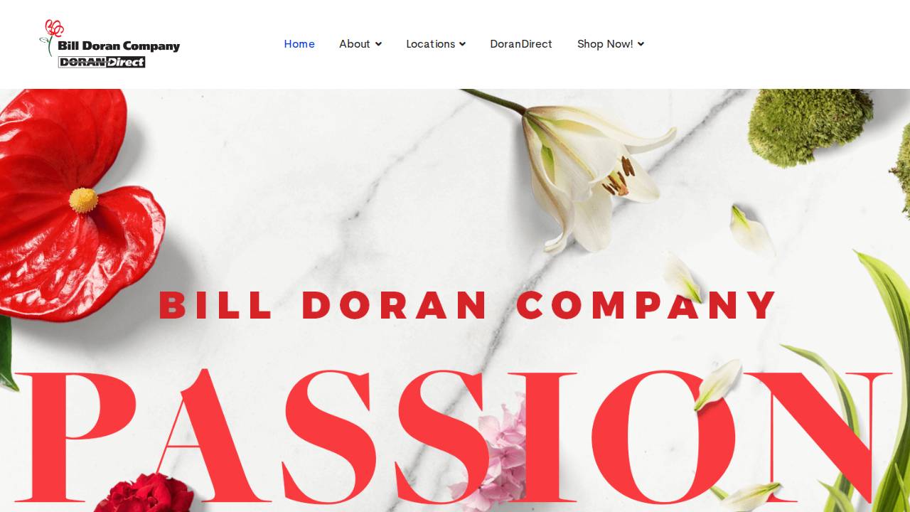 Bill Doran LLC website screenshot