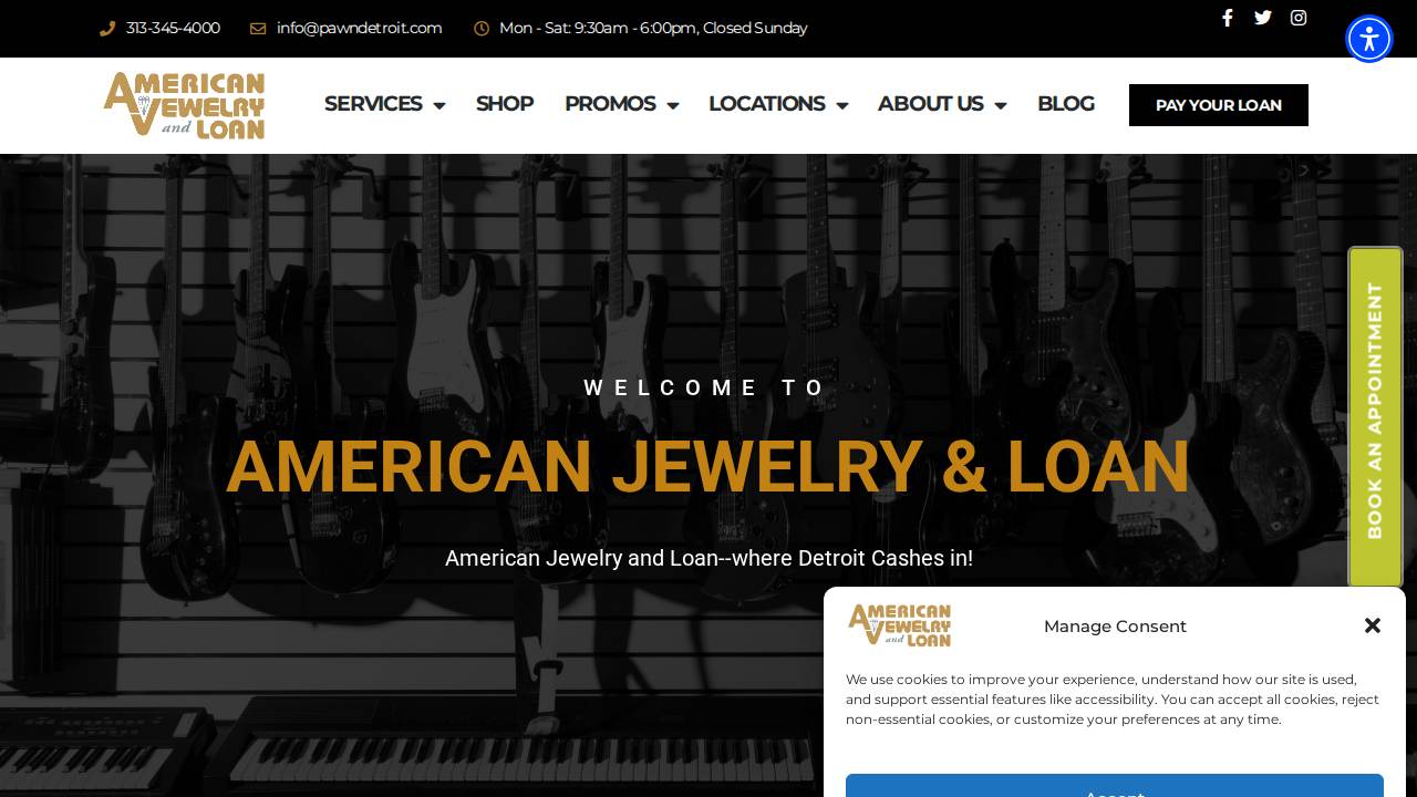 The Other Pawn Specialist Inc. website screenshot