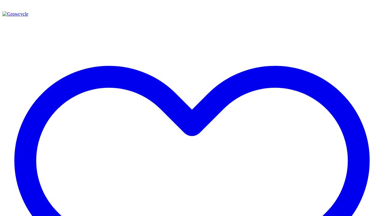 Slycord Electric Co. website screenshot