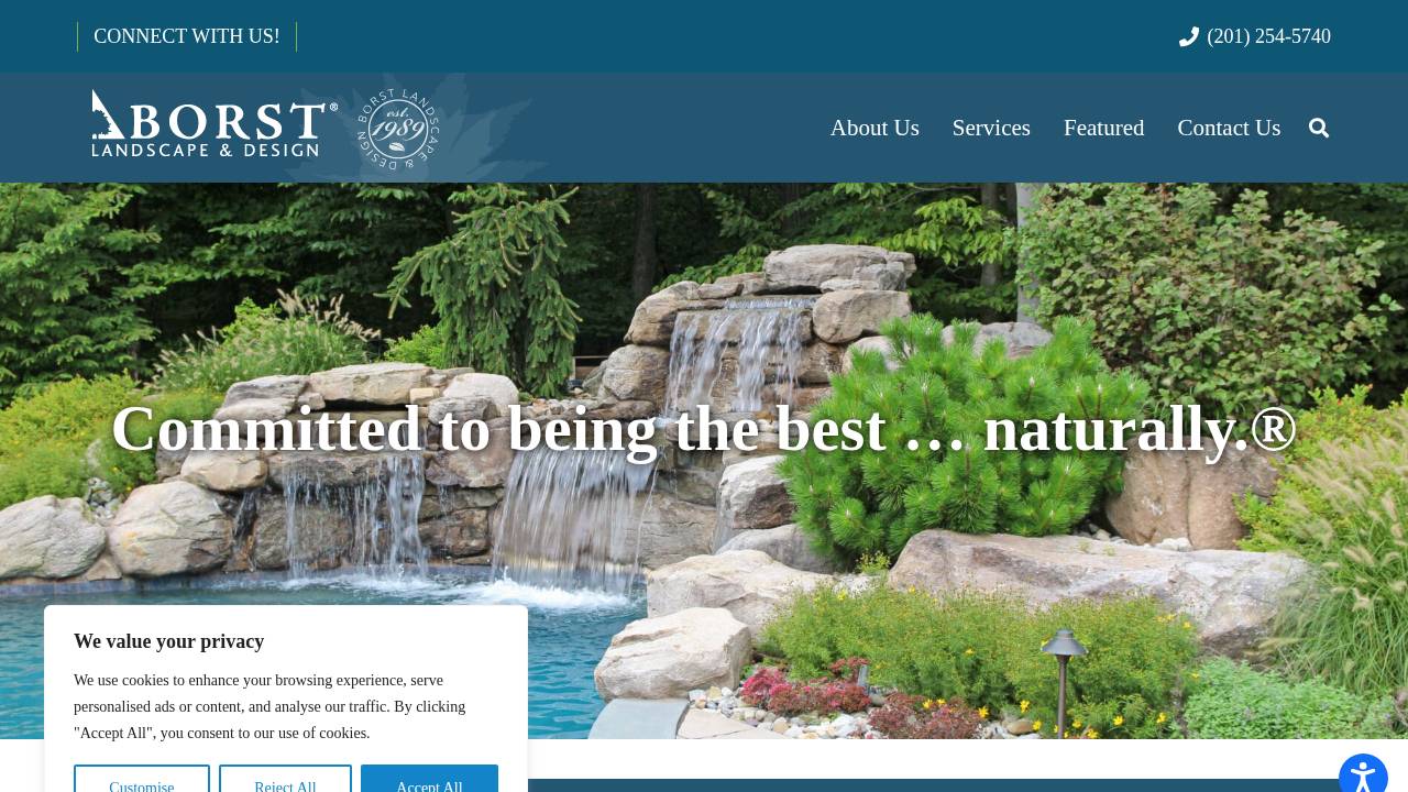 Lawn Care Solutions Inc. website screenshot