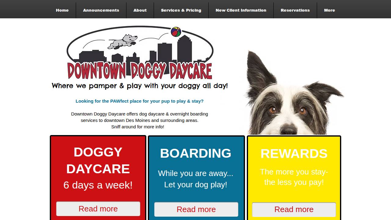 Downtown Doggy Daycare LLC website screenshot