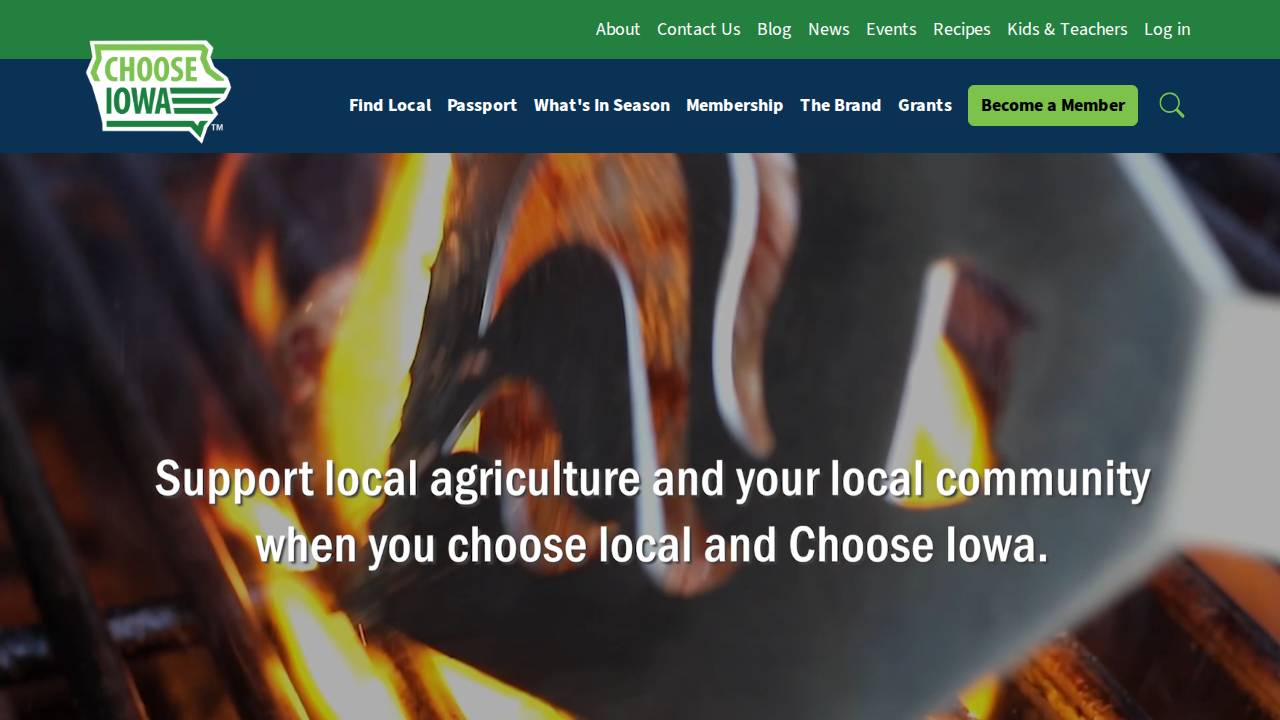 Hoq LLC website screenshot