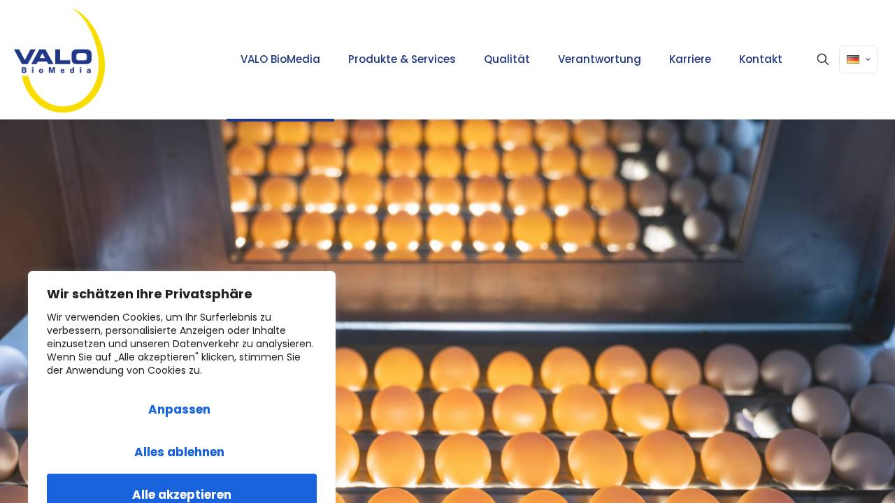 Valo Biomedia North America LLC website screenshot