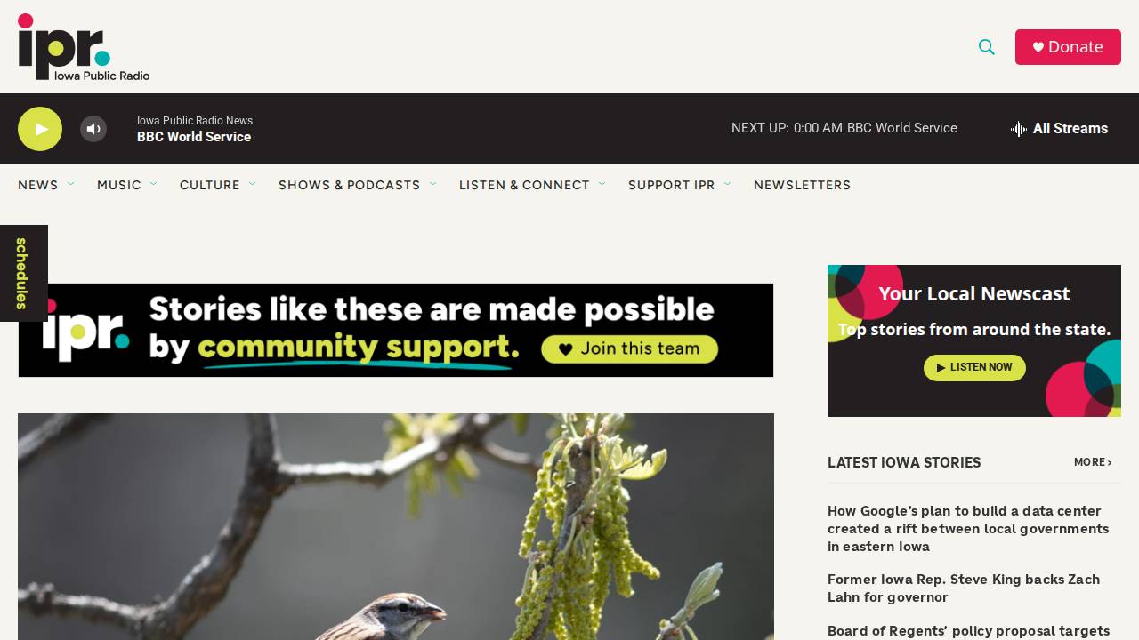 Vintage Vault website screenshot