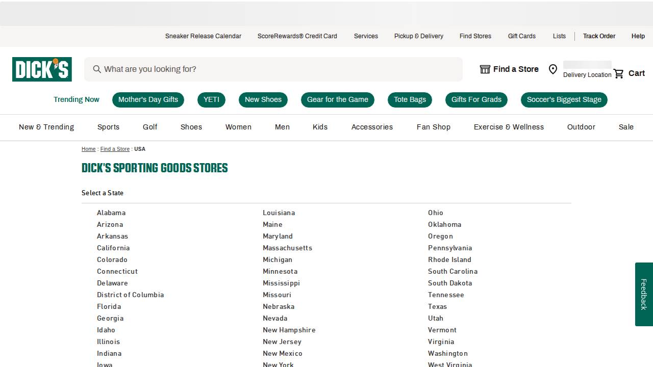 Dick's Sporting Goods website screenshot