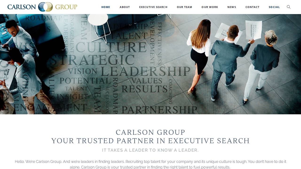 Carlson Group LLC website screenshot