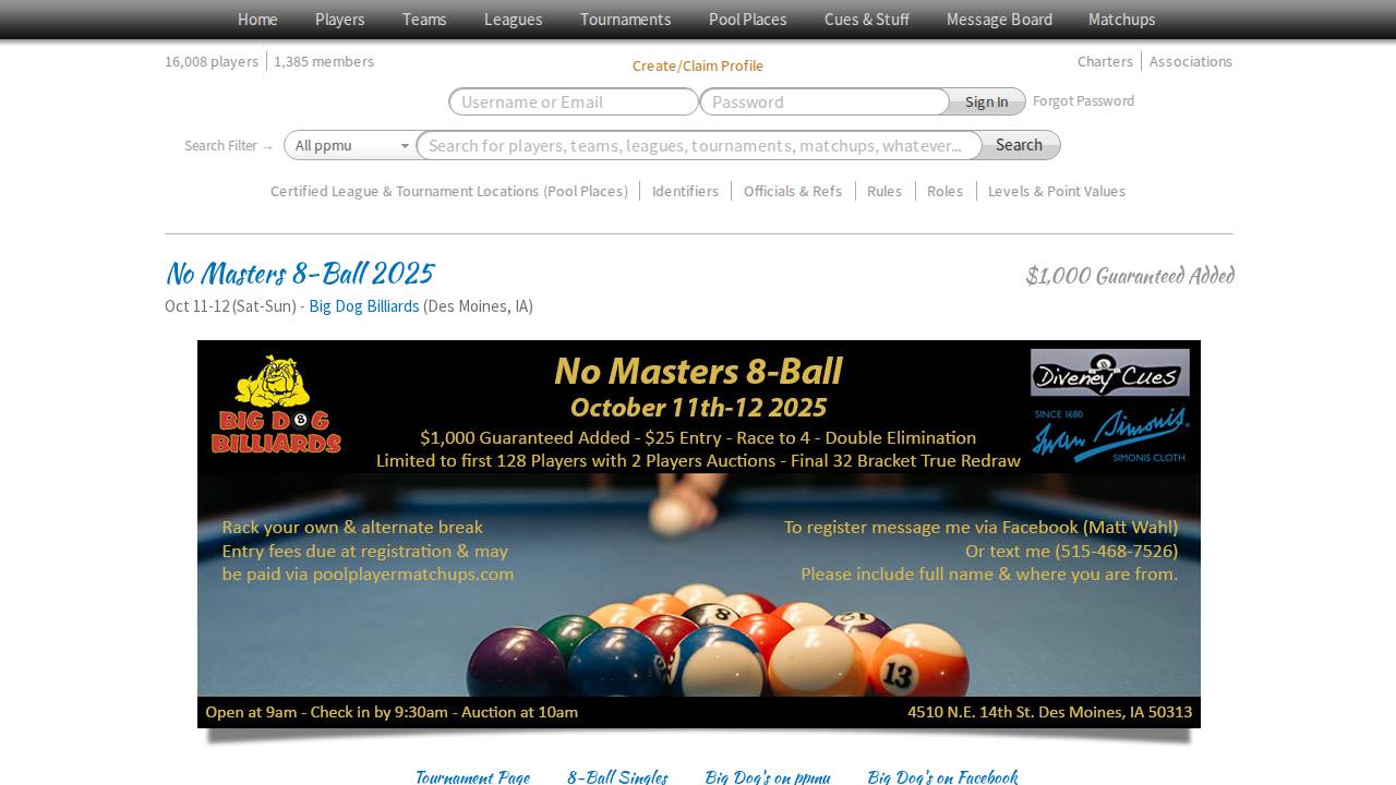 Big Dog Billiards website screenshot