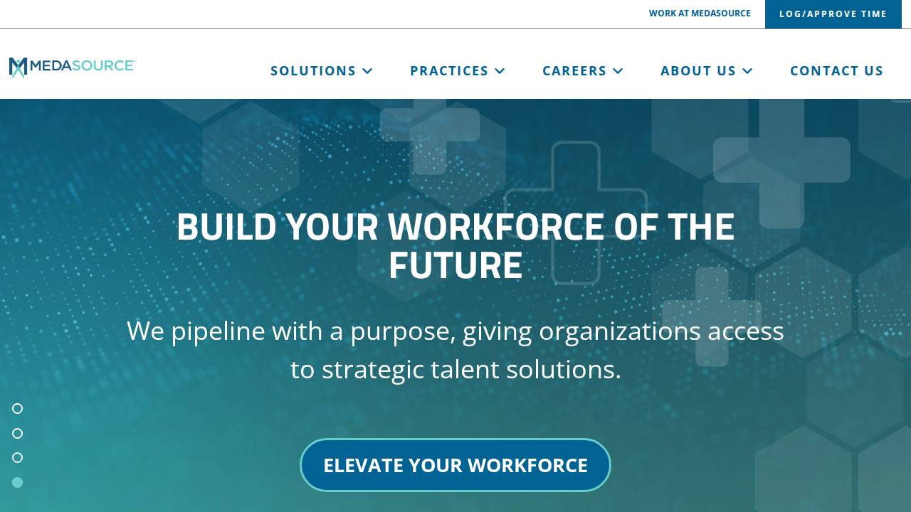 Metasource LLC website screenshot