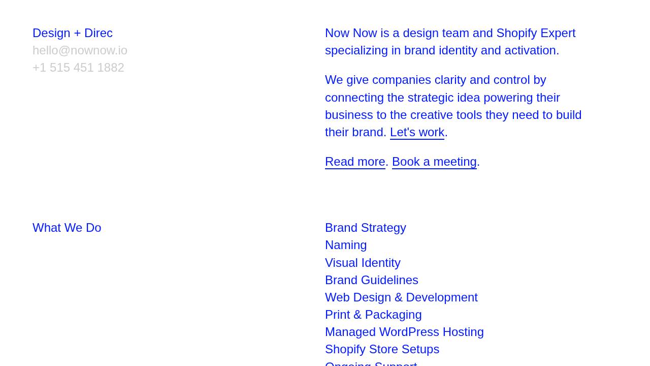 Now Now LLC website screenshot
