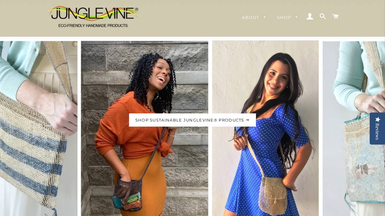 Junglevine Foundation Inc. website screenshot