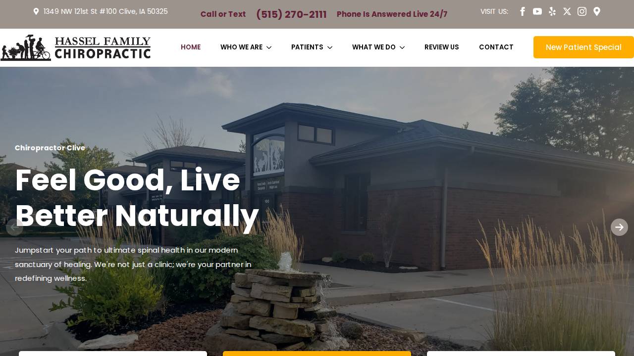 Hassel Family Chiropractic Dc PC website screenshot