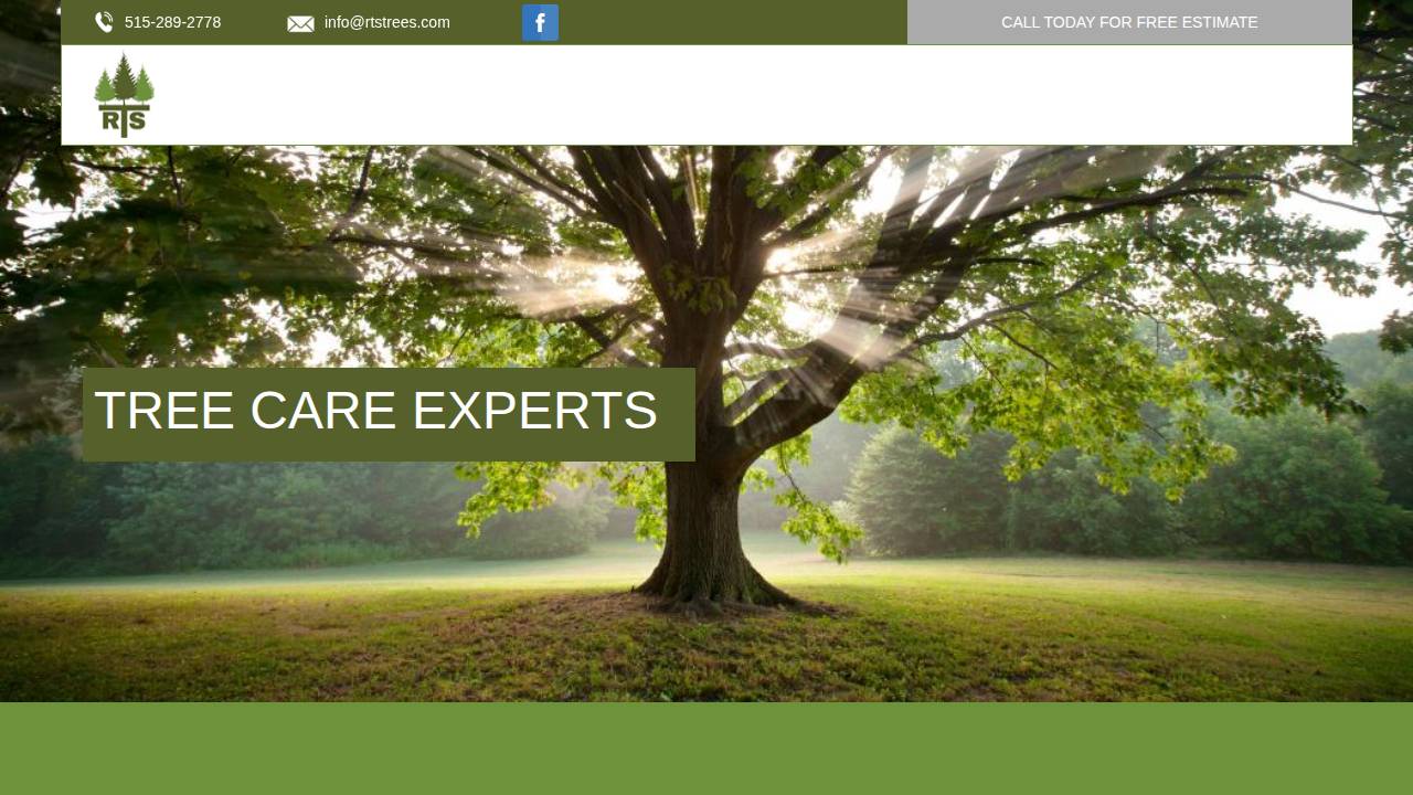 Rts Tree Service website screenshot