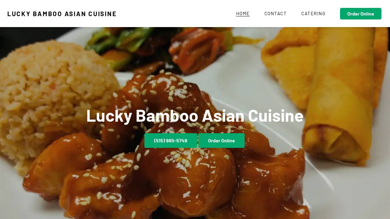 Lucky Bamboo LLC website screenshot