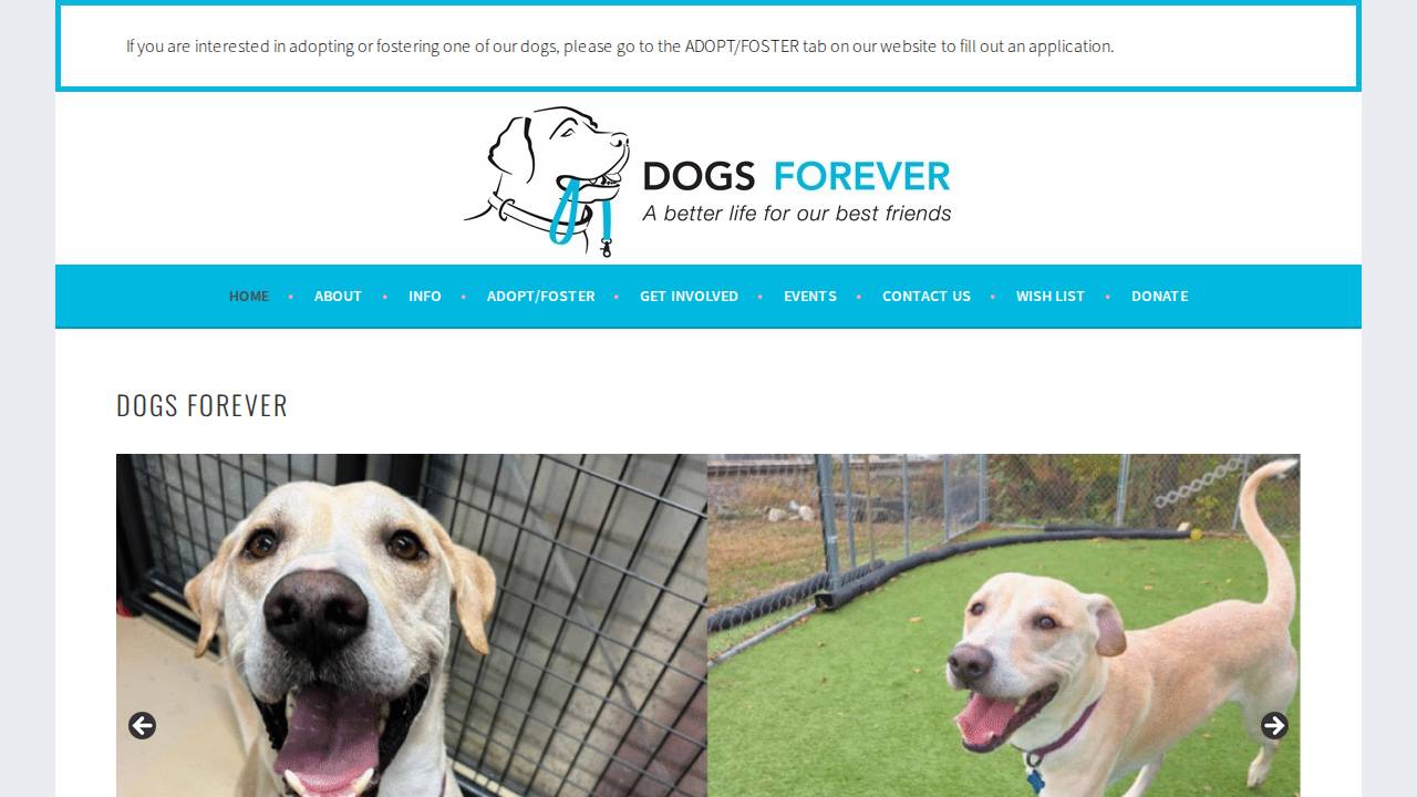 Dog Mom Forever LLC website screenshot
