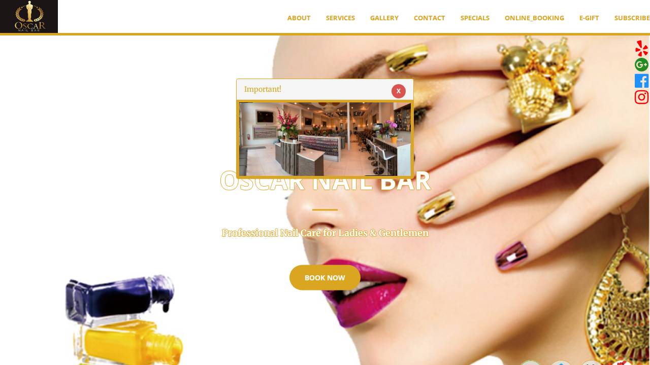 American Nails & Spa LLC website screenshot