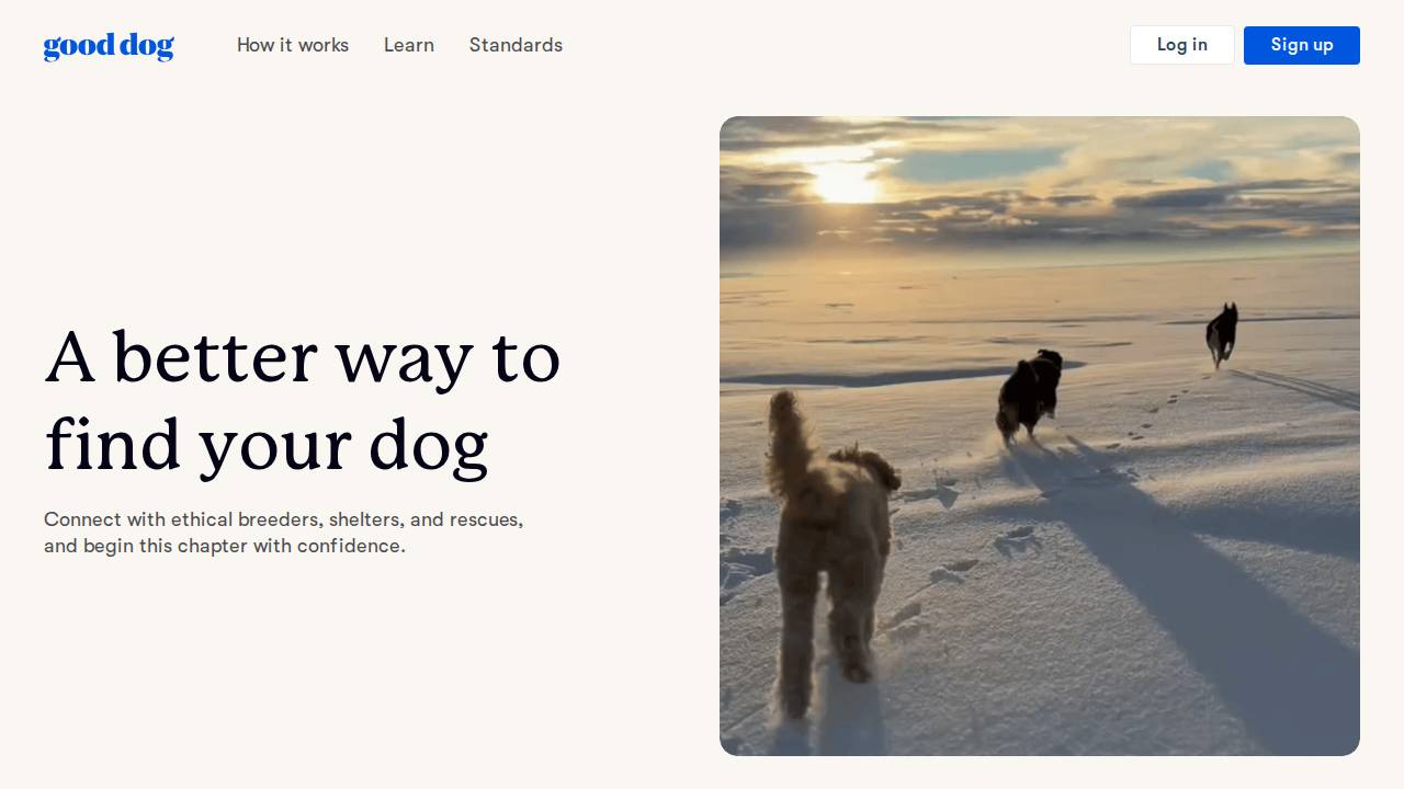 Good Dog Inc. website screenshot