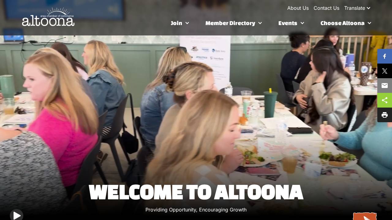 Tyras Palace website screenshot