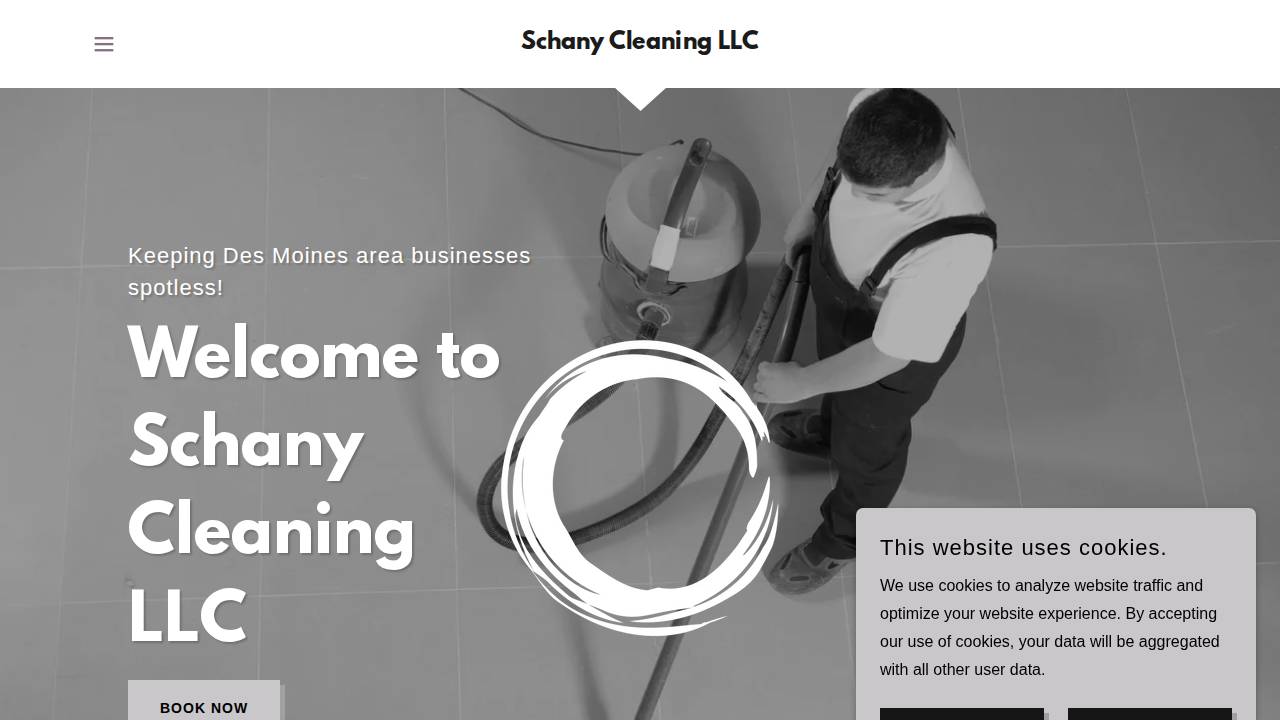 Schany Cleaning website screenshot