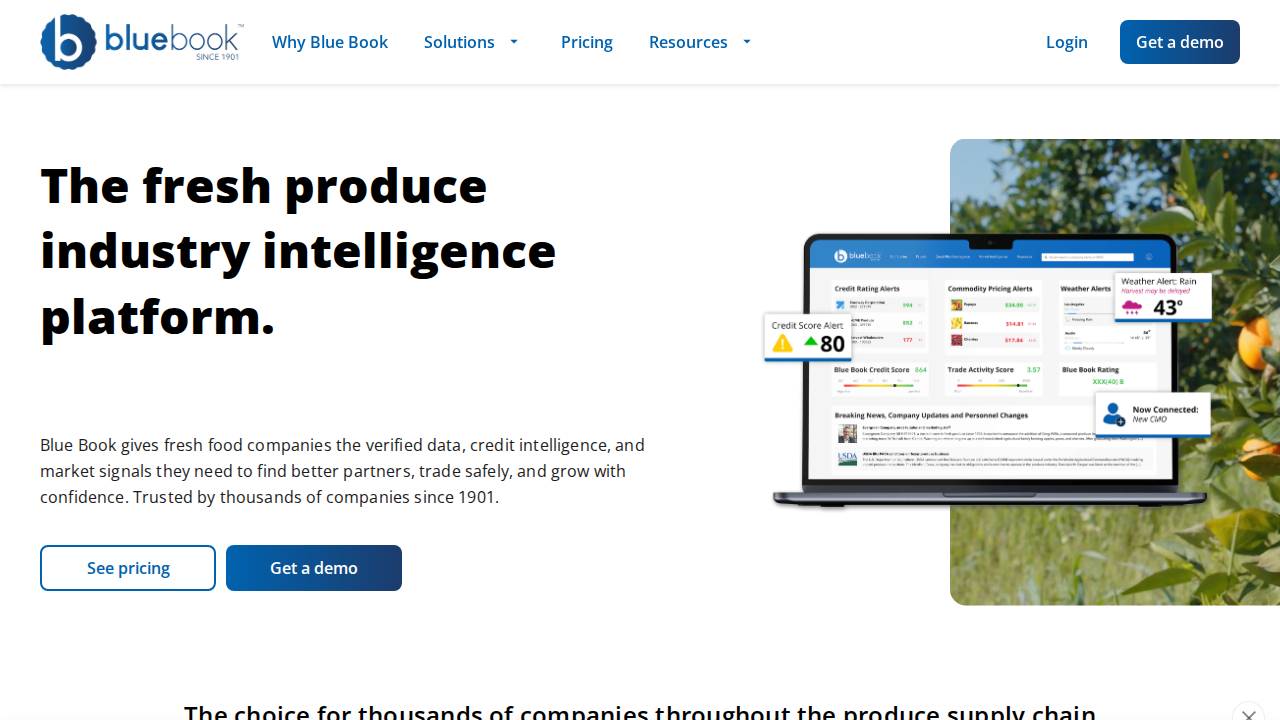 Netsel LLC website screenshot