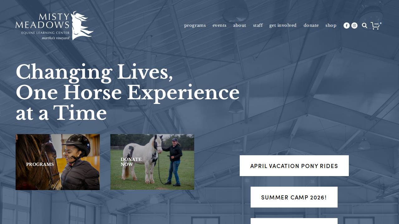 Misty website screenshot