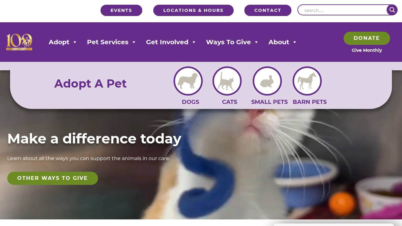 Chew On Bamboo Ltd website screenshot