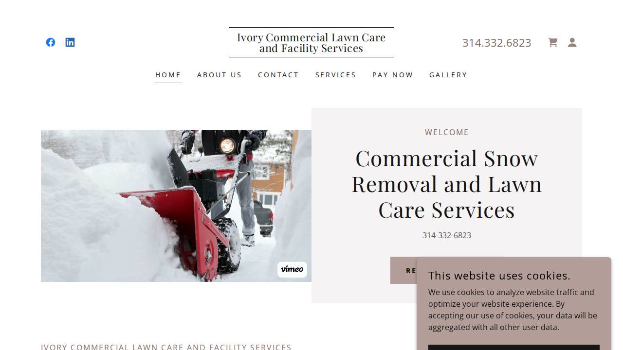 Ivory Irrigation And Lawn website screenshot