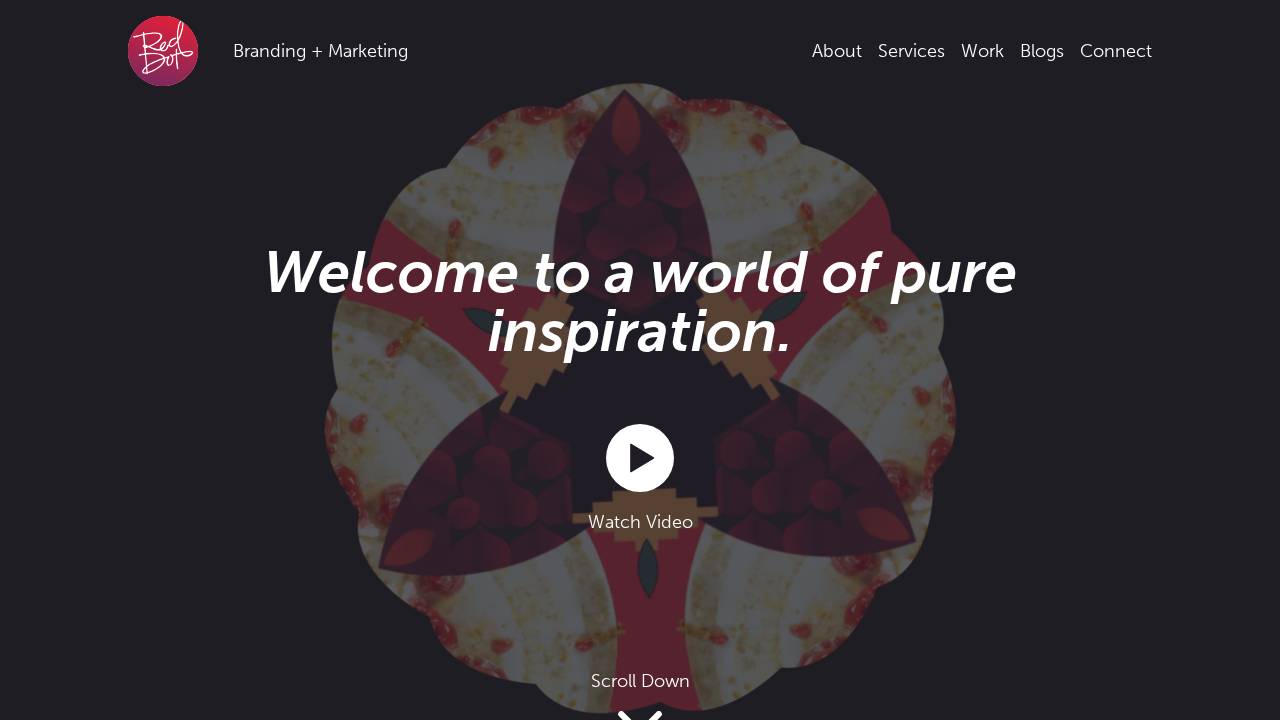 Red Dot Branding And Marketing LLC website screenshot