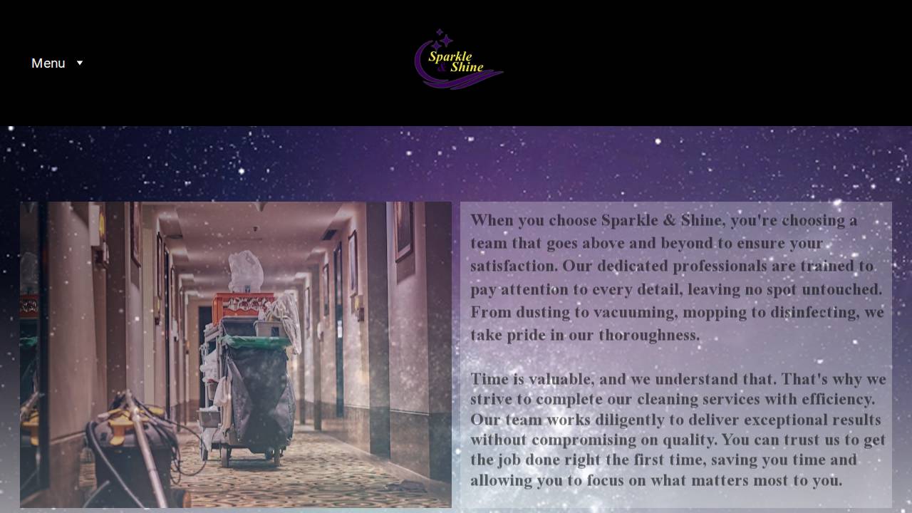 Sparkle & Shine Services LLC website screenshot