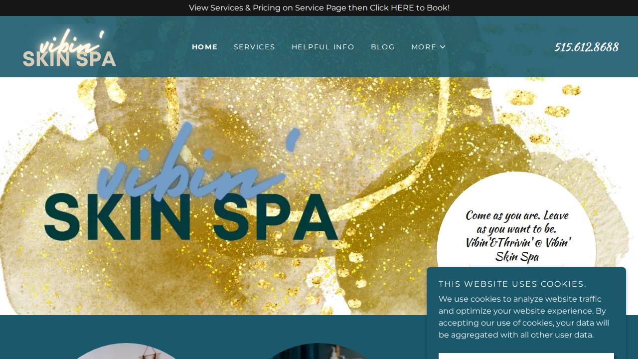 Vibin' Skin Spa website screenshot
