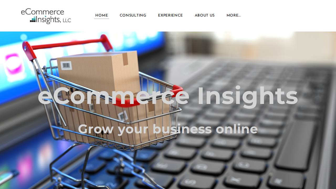 Ecommerce Insight LLC website screenshot