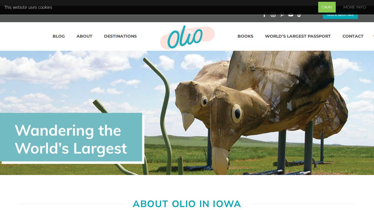 Olio LLC website screenshot