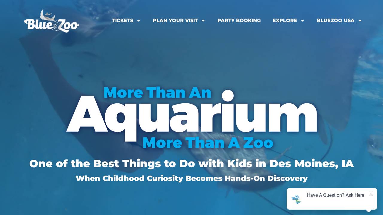Blue Zoo Des Moines LLC website screenshot