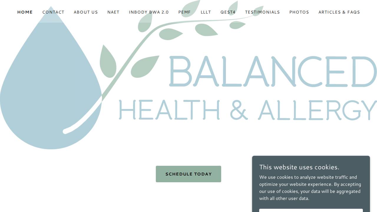 Balanced Health & Allergy website screenshot