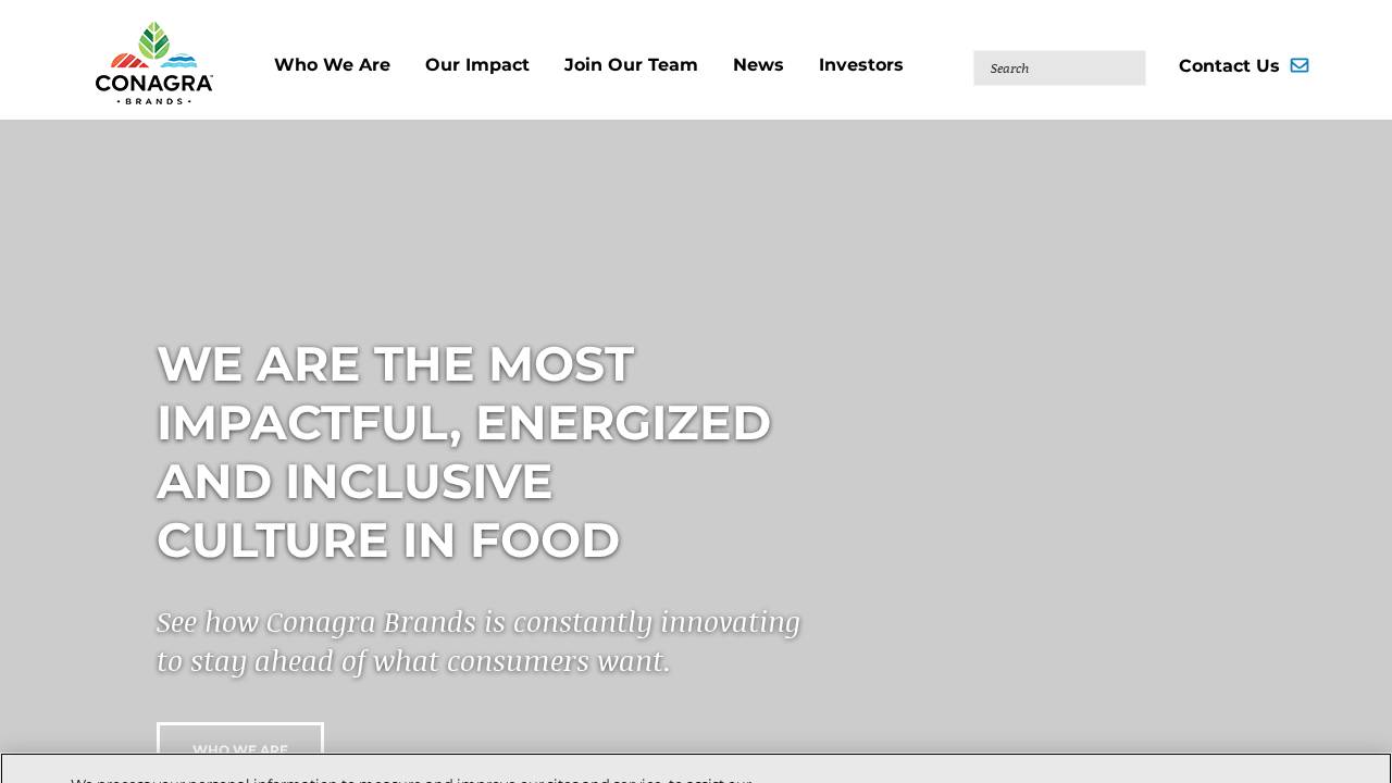 Sadu Bhai LLC website screenshot