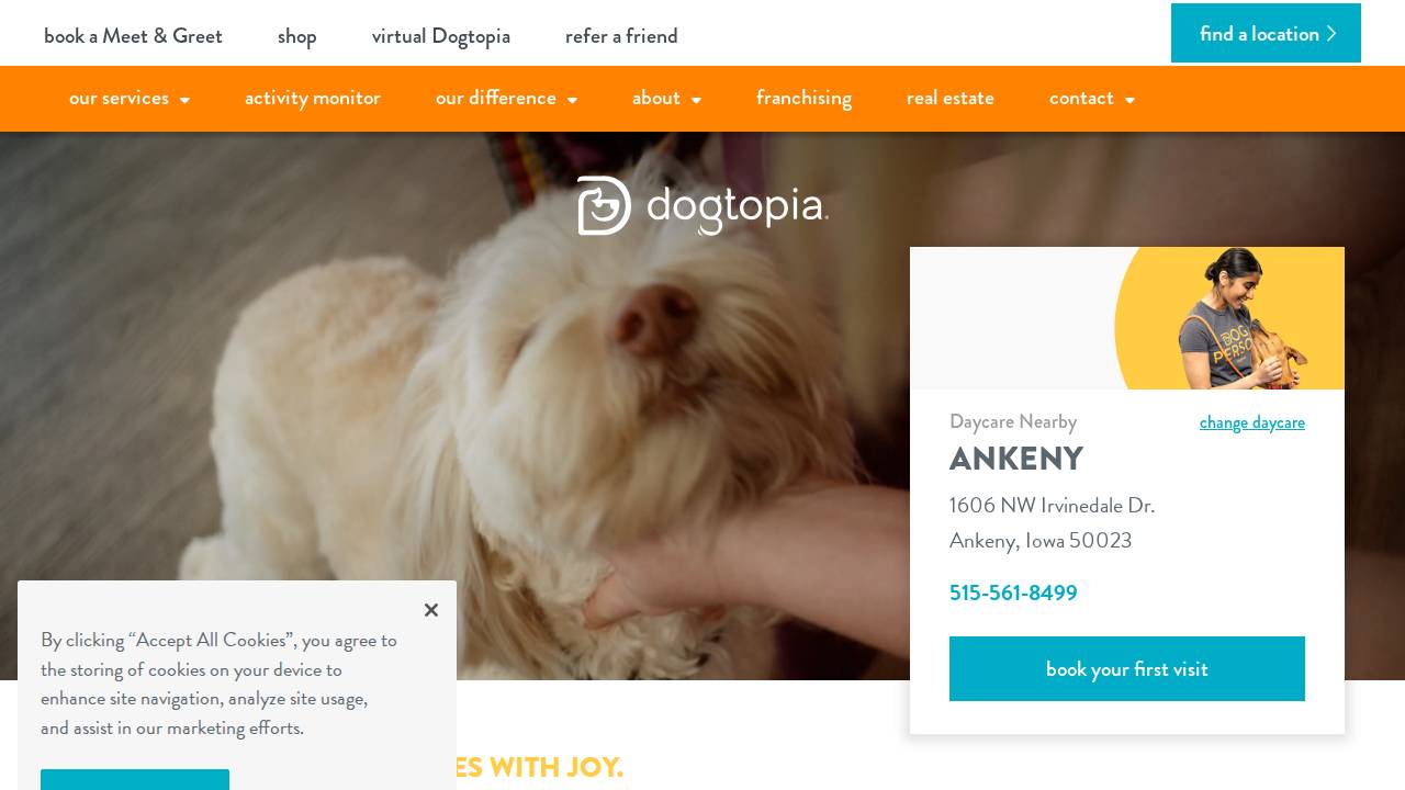 Dog Life LLC website screenshot