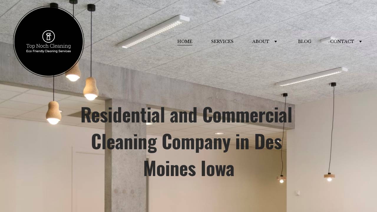 Top Noch Cleaning website screenshot