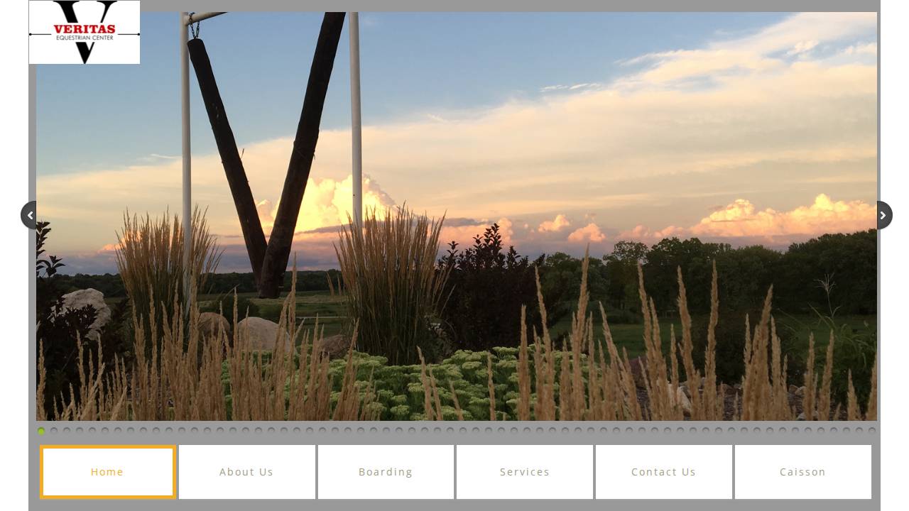 Veritas Ventures website screenshot