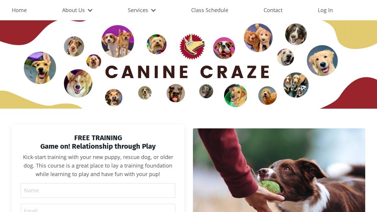 Canine Cascades website screenshot
