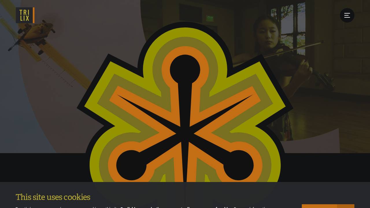 Trilix Marketing Group Inc. website screenshot