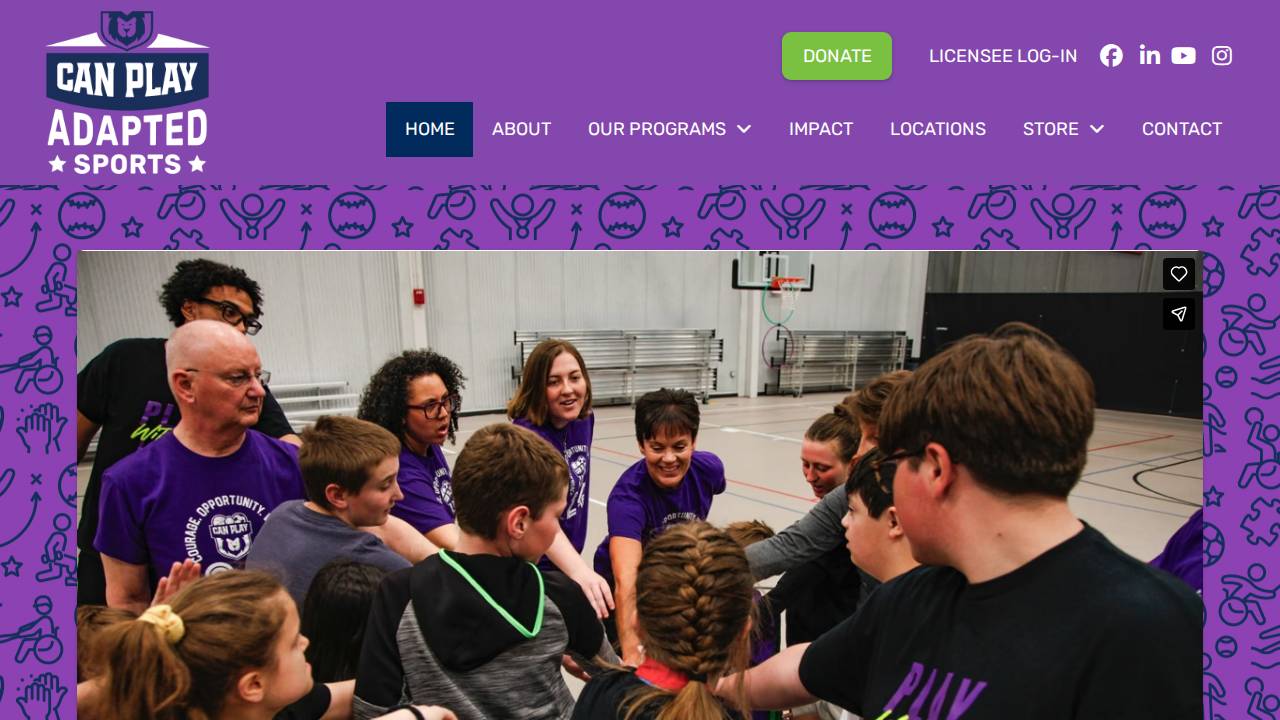 Play-Pro Recreation LLC. website screenshot