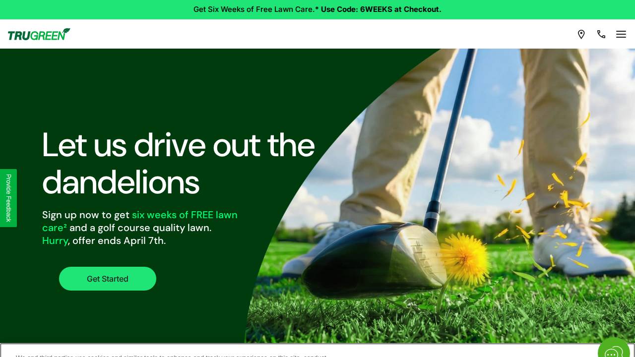 Gogreen Lawns website screenshot