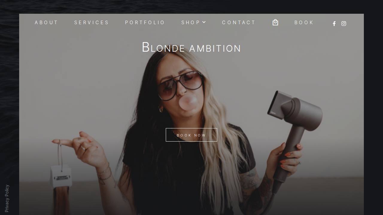 Blonde Ambition LLC website screenshot