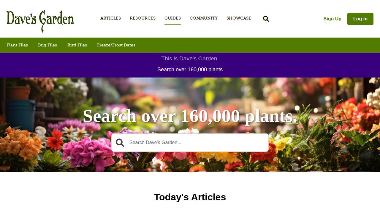 Flying Frog Hosta Farm website screenshot