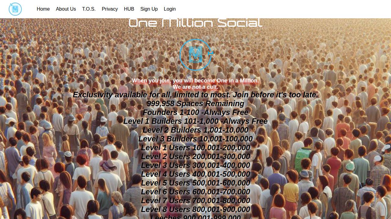 Onemillionsocial LLC website screenshot
